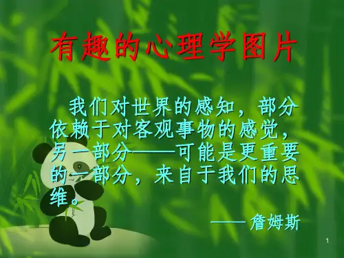 心理学图片PPT课件