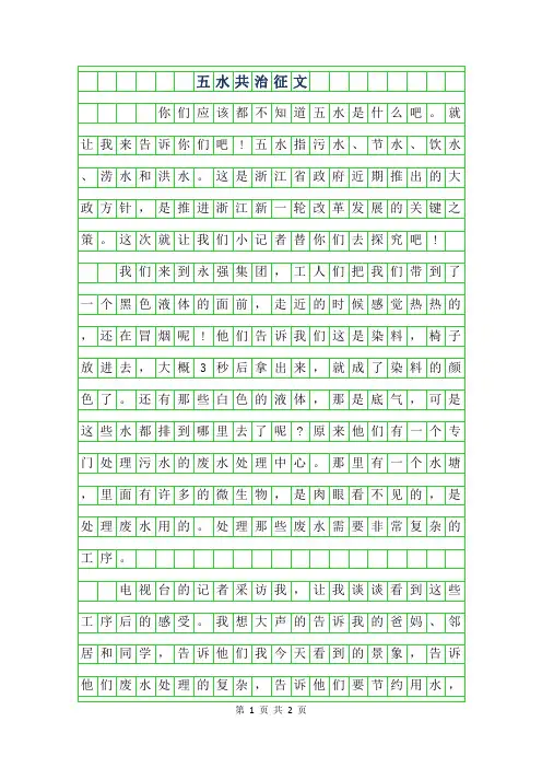 2019年五水共治征文500字