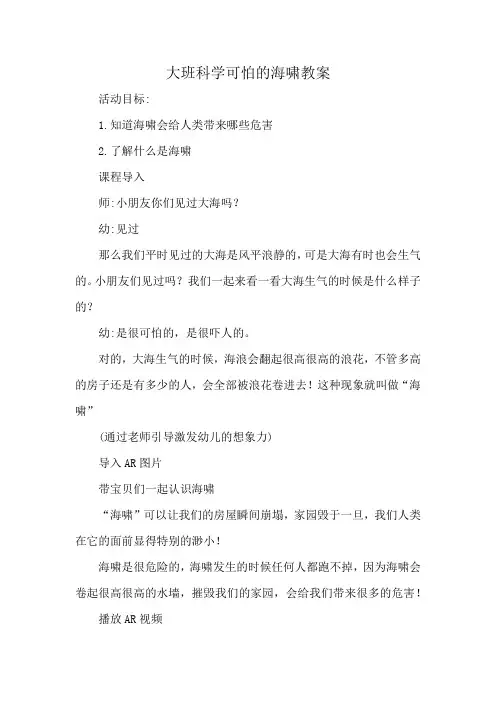 大班科学可怕的海啸教案