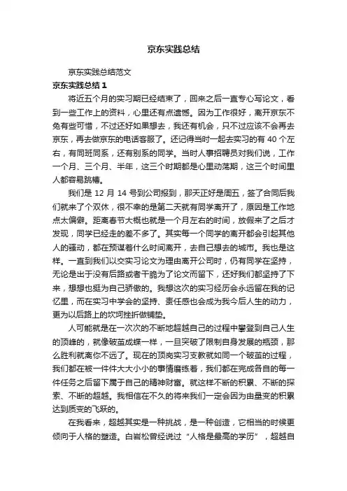 京东实践总结范文