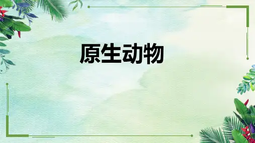 4.原生动物课件(沪教版)