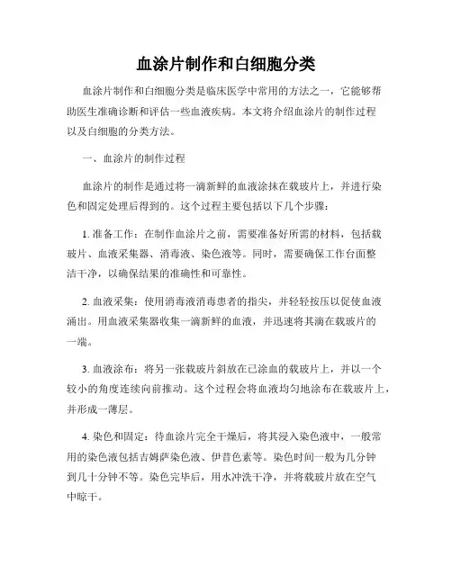 血涂片制作和白细胞分类