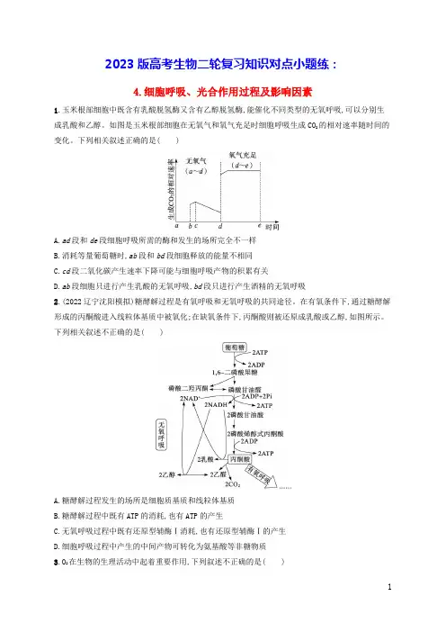 老高考新教材适用2023版高考生物二轮复习知识对点小题练4细胞呼吸光合作用过程及影响因素(含答案)