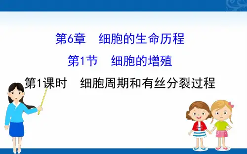 2020-2021学年高中人教版生物必修一课件-6.1.1-细胞周期和有丝分裂过程