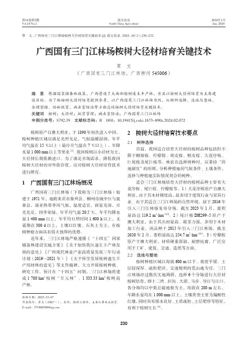 广西国有三门江林场桉树大径材培育关键技术