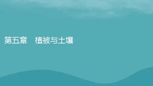 2023年新教材高中地理新人教版必修第一册：植被课件