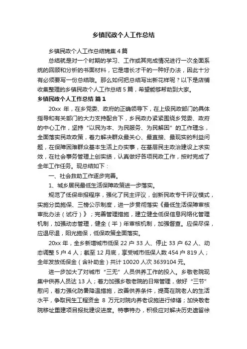 乡镇民政个人工作总结