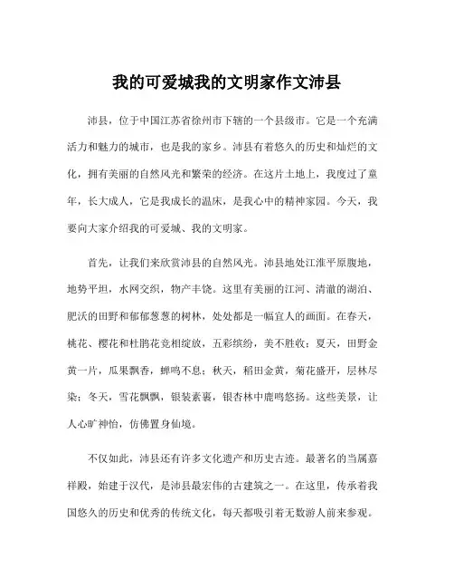 我的可爱城我的文明家作文沛县
