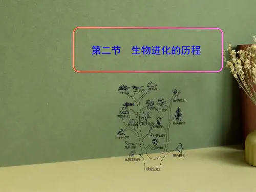 生物进化的历程课件PPT