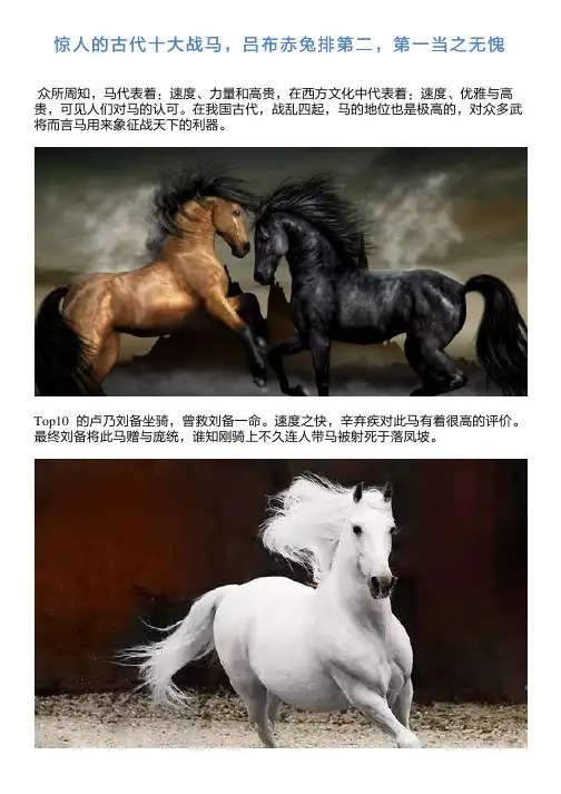 惊人的古代十大战马,吕布赤兔排第二,第一当之无愧