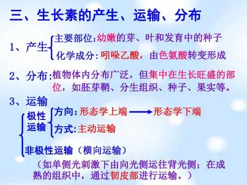 生长素的合成运输分布和生理作用