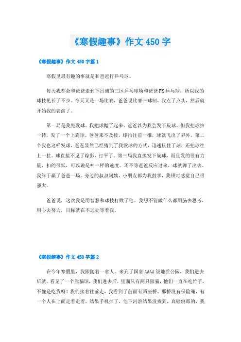 《寒假趣事》作文450字
