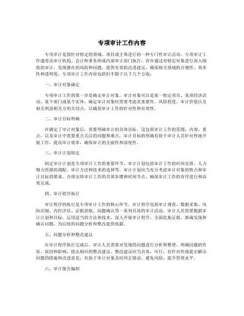 专项审计工作内容
