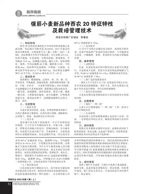 强筋小麦新品种西农20特征特性及栽培管理技术
