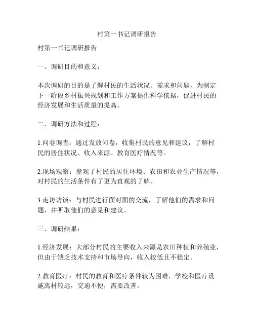 村第一书记调研报告