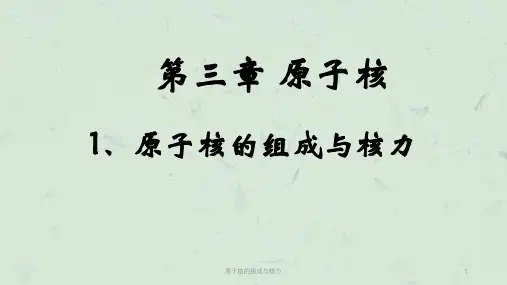 原子核的组成与核力课件