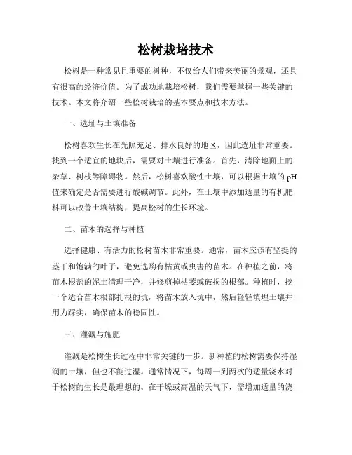 松树栽培技术