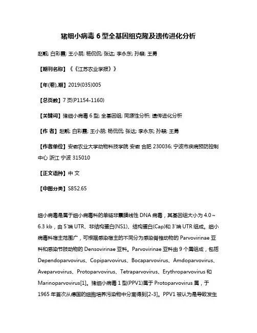 猪细小病毒6型全基因组克隆及遗传进化分析