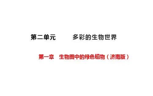 2023年生物中考复习课件(济南版)第二单元第一章生物圈中绿色植物
