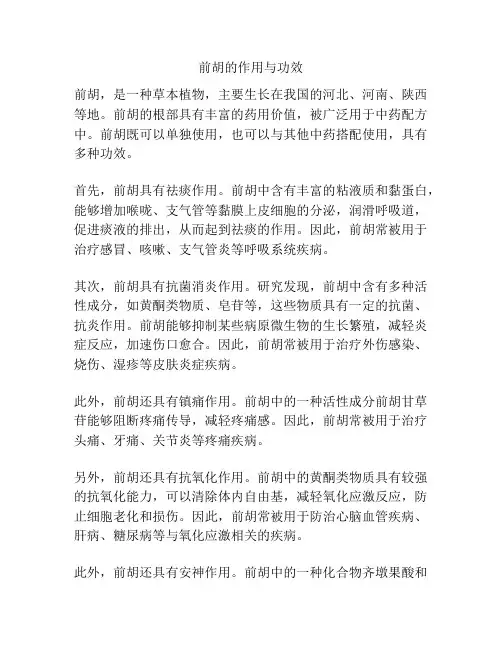 前胡的作用与功效