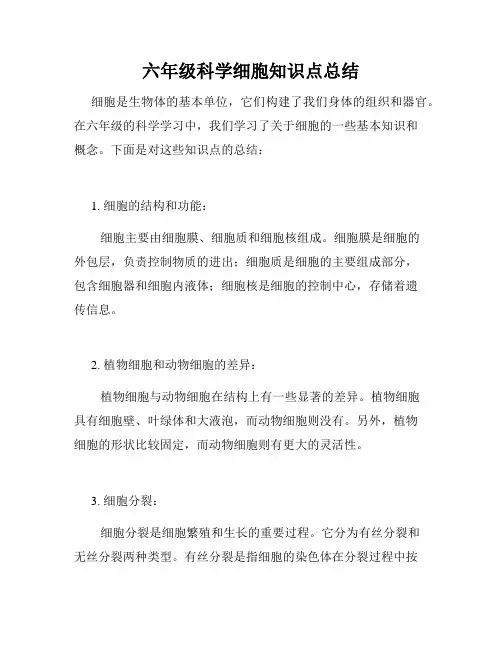 六年级科学细胞知识点总结