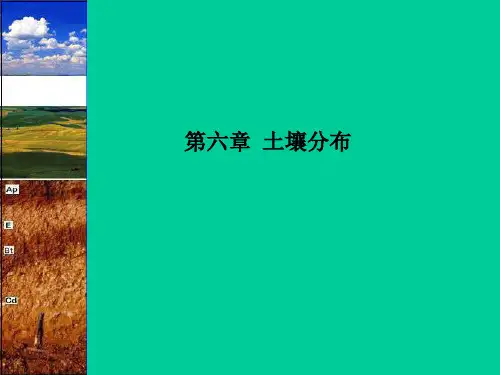 土壤分布