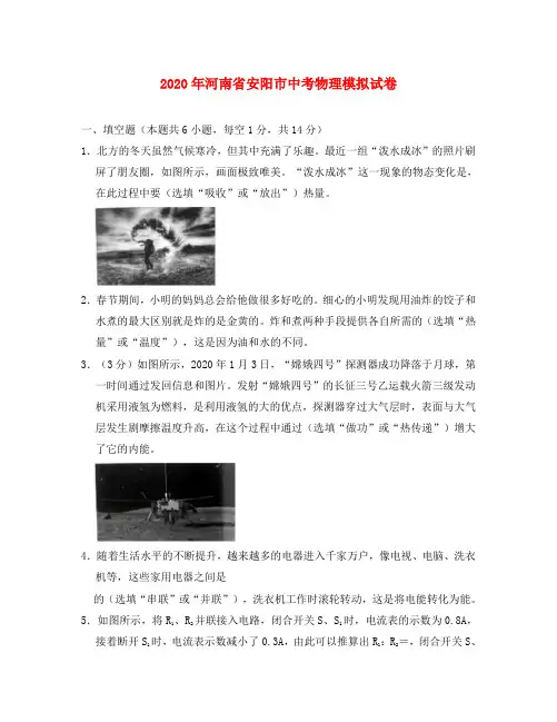 河南省安阳市2020年中考物理模拟试卷(含解析)