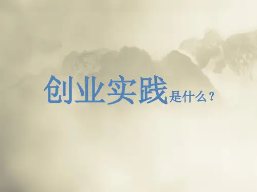 创业实践ppt