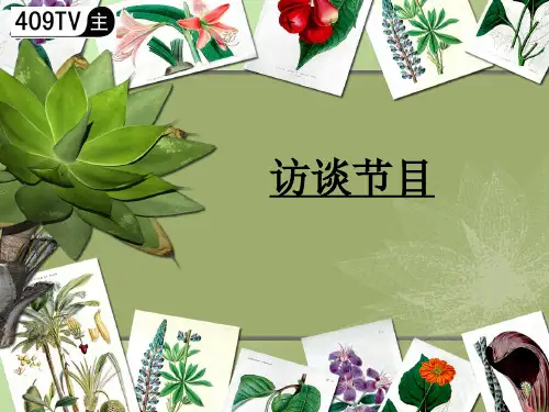 访谈节目定义及分工