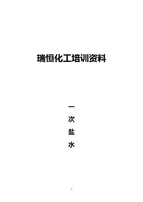 一次盐水培训资料1