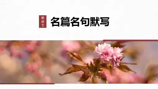 高考一轮复习语文学案课件(新高考人教版)板块七 名篇名句默写60 名篇名句默写——读懂选准正确书写