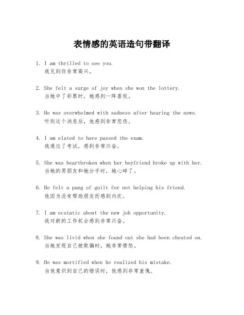 表情感的英语造句带翻译