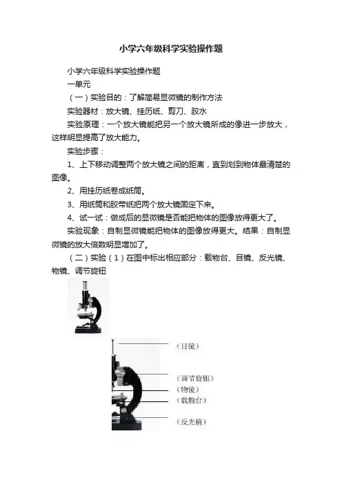 小学六年级科学实验操作题