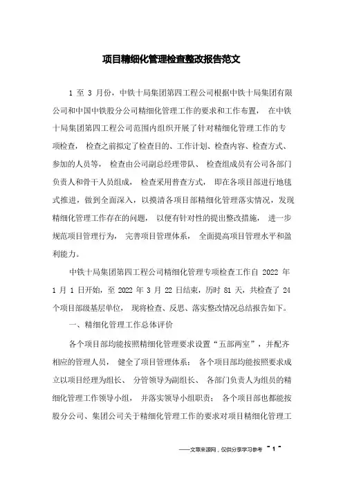 项目精细化管理检查整改报告范文