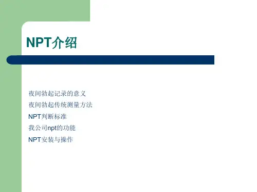 NPT介绍