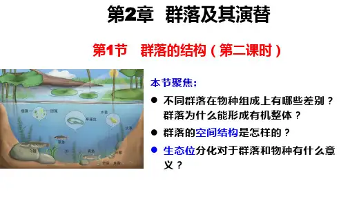 群落的结构 (第2课时)课件-高二上学期生物人教版(2019)选择性必修2