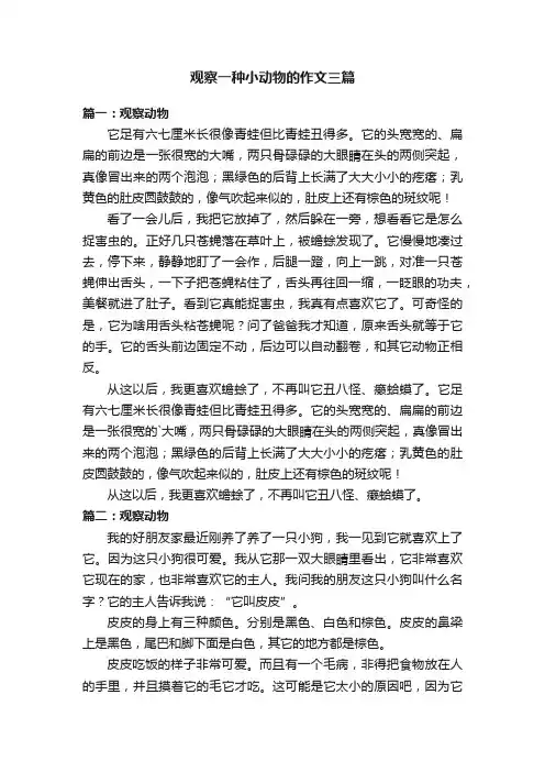 观察一种小动物的作文三篇
