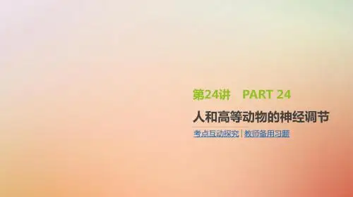 2019届高考生物一轮复习第8单元生命活动的调节第24讲人和高等动物的神经调节课件