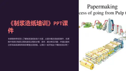 《制浆造纸培训》课件