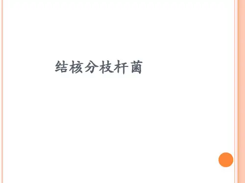 结核分枝杆菌