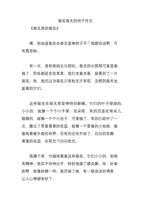 菊花春天的样子作文