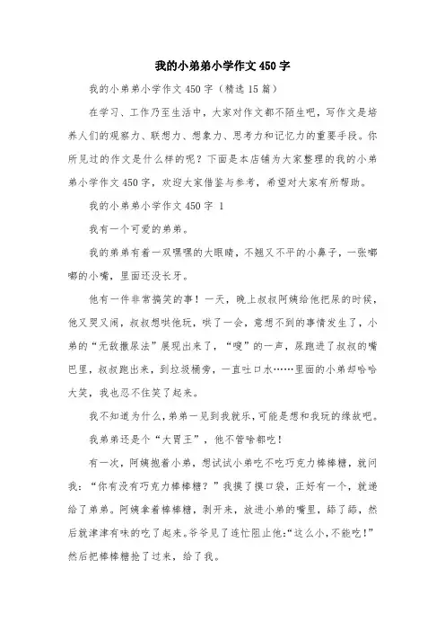 我的小弟弟小学作文450字