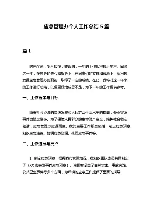 应急管理办个人工作总结5篇