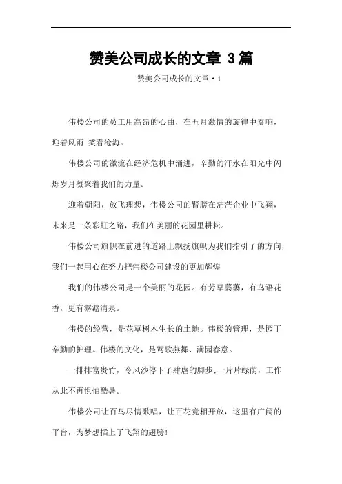 赞美公司成长的文章 3篇