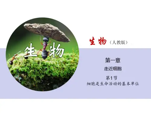1.1细胞是生命系统的基本单位