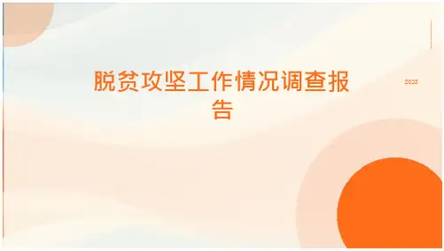 脱贫攻坚工作情况调查报告