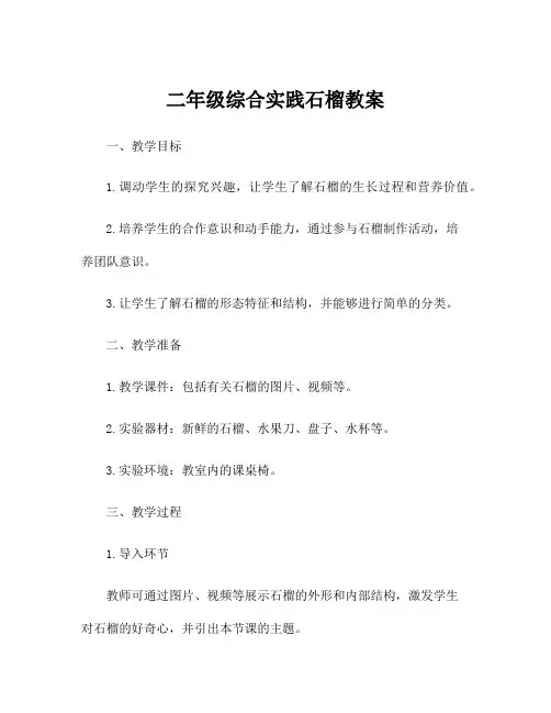 二年级综合实践石榴教案