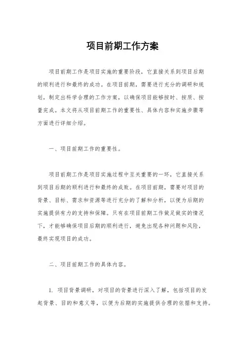 项目前期工作方案