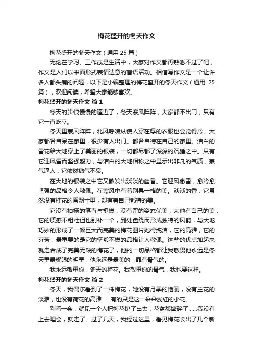 梅花盛开的冬天作文