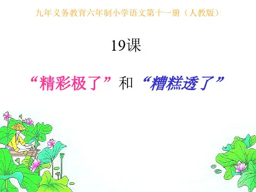 第19课《精彩极了和糟糕透了》ppt